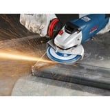 Bosch 2 608 606 923 accessorio per smerigliatrice, Mola abrasiva Metallo, 12,5 cm, Bosch, 2,22 cm, 1 pz