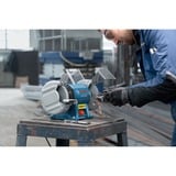 Bosch GBG 35-15 Professional, Smerigliatrici da banco blu/Nero