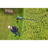 Bosch UniversalHedgePole 18, 06008B3001, Tagliasiepi verde/Nero