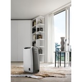 DeLonghi DNS65 2,8 L 34 dB Nero, Grigio, Deumidificatore Nero/Bianco, 220 - 240 V, 50 Hz, 1 - 35 °C, 30 - 95%, 340 mm, 192 mm