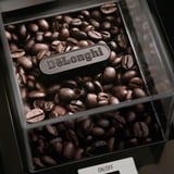 DeLonghi KG89 110 W Acciaio inox, Coffee Mill argento, 120 g, Acciaio inox, Plastica, Acciaio inox, 12 pz, 110 W, 220 - 240 V