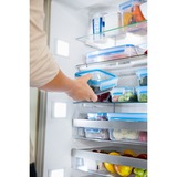 Emsa CLIP & CLOSE Rettangolare Scatola Traslucido 1 pz, Casella trasparente/Blu, Scatola, Rettangolare, Traslucido, 1 pz