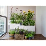 GARDENA 13300-20 sistema di irrigazione goccia a goccia, Controllo irrigazione grigio