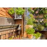 GARDENA NatureUp! Sistemi di irrigazione goccia a goccia, Sistemi a goccia 1,5 m, Grigio