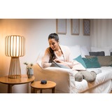 LEDVANCE AC33899, Lampada a LED 
