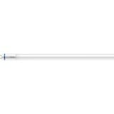 Philips Master lampada LED 12,5 W G13, Lampada a LED 12,5 W, G13, 2100 lm, 50000 h