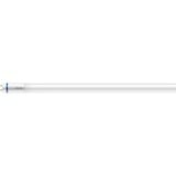Philips Master lampada LED 18,2 W G13, Lampada a LED 18,2 W, G13, 3100 lm, 50000 h