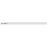 Philips Master lampada LED 6500 K 12,5 W G13, Lampada a LED 12,5 W, G13, 2100 lm, 50000 h