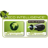 Rowenta CV6030 INSTANT DRY, Asciugacapelli Nero/Verde, dC, 5,2 g/min, Nero, Verde, Gancio per appendere, 1,8 m, Cina
