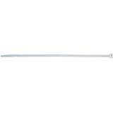 fischer BN 2,5 x 200 fascetta Fascetta per scala Nylon Trasparente 100 pezzo(i) trasparente, 5 x 200, Fascetta per scala, Nylon, Trasparente, -10 - 85 °C, 20 cm, 2,5 mm