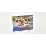 fischer GOW artiglio magnetico, Magnete argento