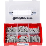 fischer Scatola di tasselli FixTainer SX, Tassello grigio chiaro