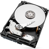 Seagate Barracuda ST8000DM004 disco rigido interno 3.5" 8000 GB Serial ATA III, Hard-disk 3.5", 8000 GB, 5400 Giri/min