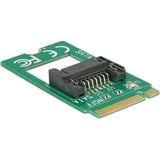 DeLOCK 62876 scheda di interfaccia e adattatore Interno SATA, Controller Serial ATA M.2, SATA, Verde, 6 Gbit/s, 22 mm, 42 mm