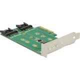 DeLOCK 89518 scheda di interfaccia e adattatore Interno M.2, SATA PCIe, M.2, SATA, PCIe 3.0, Windows 10 Education, Windows 10 Education x64, Windows 10 Enterprise, Windows 10 Enterprise x64,..., Scatola