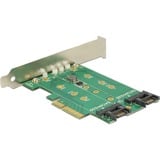 DeLOCK 89518 scheda di interfaccia e adattatore Interno M.2, SATA PCIe, M.2, SATA, PCIe 3.0, Windows 10 Education, Windows 10 Education x64, Windows 10 Enterprise, Windows 10 Enterprise x64,..., Scatola