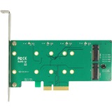 DeLOCK 89536 scheda di interfaccia e adattatore Interno M.2 PCIe, M.2, 6 Gbit/s, 0, 1, Windows 10 Education, Windows 10 Education x64, Windows 10 Enterprise, Windows 10 Enterprise x64,..., Scatola