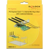 DeLOCK 89568 scheda di interfaccia e adattatore Interno M.2 PCI-E, M.2, USB, Scatola, Wireless