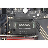 Alphacool HDX - M.2 SSD M01 Circuiti integrati Dissipatore di calore/Radiatore Nero Nero, Dissipatore di calore/Radiatore, Nero