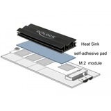 DeLOCK 18283 parte e accessorio del sistema di raffreddamento del computer, Dissipatore di calore Nero, Alluminio, Nero, 22 mm, 70 mm, 10 mm