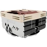 Noctua NH-L9x65 Processore Refrigeratore 9,2 cm, raffreddamento CPU  Refrigeratore, 9,2 cm, 600 Giri/min, 2500 Giri/min, 23,6 dB, 57,5 m³/h