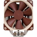 Noctua NH-U12S sistema di raffreddamento per computer Processore Refrigeratore 12 cm Marrone, Acciaio inossidabile Refrigeratore, 12 cm, 1500 Giri/min, 22,4 dB, 93,4 m³/h, Marrone, Acciaio inossidabile, Vendita al dettaglio