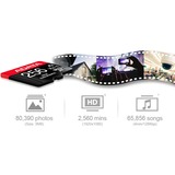 ADATA AUSDX256GUI3V30SHA2-RA1 memoria flash 256 GB MicroSDXC UHS-I Classe 10 256 GB, MicroSDXC, Classe 10, UHS-I, 100 MB/s, 80 MB/s