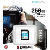 Kingston Canvas Go! Plus 256 GB SD UHS-I Classe 10 Nero, 256 GB, SD, Classe 10, UHS-I, 170 MB/s, 90 MB/s