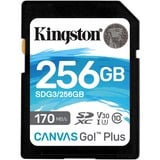 Kingston Canvas Go! Plus 256 GB SD UHS-I Classe 10, Scheda di memoria Nero, 256 GB, SD, Classe 10, UHS-I, 170 MB/s, 90 MB/s