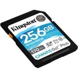 Kingston Canvas Go! Plus 256 GB SD UHS-I Classe 10, Scheda di memoria Nero, 256 GB, SD, Classe 10, UHS-I, 170 MB/s, 90 MB/s