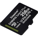 Kingston Canvas Select Plus 256 GB MicroSDXC UHS-I Classe 10 Nero, 256 GB, MicroSDXC, Classe 10, UHS-I, 100 MB/s, 85 MB/s