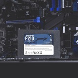 Patriot P210 2.5" 1000 GB Serial ATA III, Disco a stato solido Nero, 1000 GB, 2.5", 500 MB/s