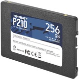 Patriot P210 2.5" 256 GB Serial ATA III, Disco a stato solido Nero, 256 GB, 2.5", 500 MB/s