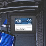 Patriot P210 2.5" 256 GB Serial ATA III, Disco a stato solido Nero, 256 GB, 2.5", 500 MB/s