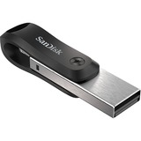 SanDisk SDIX60N-256G-GN6NE unità flash USB 256 GB 3.2 Gen 1 (3.1 Gen 1) Grigio, Argento Nero/Argento, 256 GB, 3.2 Gen 1 (3.1 Gen 1), Sleeve, 7,2 g, Grigio, Argento
