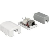 DeLOCK 86196 presa energia RJ-45 Bianco, Scatola di giunzione bianco, RJ-45, Bianco, TIA-568A/B, 39 mm, 54 mm, 29,5 mm