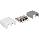 DeLOCK 86197 presa energia 2 x RJ-45 Bianco bianco, 2 x RJ-45, Bianco, TIA-568A/B, 59 mm, 61 mm, 29,5 mm