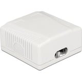 DeLOCK 86197 presa energia 2 x RJ-45 Bianco, Scatola di giunzione bianco, 2 x RJ-45, Bianco, TIA-568A/B, 59 mm, 61 mm, 29,5 mm