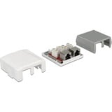 DeLOCK 86197 presa energia 2 x RJ-45 Bianco, Scatola di giunzione bianco, 2 x RJ-45, Bianco, TIA-568A/B, 59 mm, 61 mm, 29,5 mm