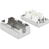 DeLOCK 86410 scatola di derivazione di rete Cat6a Metallico, Connettore Cat6a, A, S/UTP (STP), Metallico, Metallo, 34,9 mm