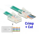 DeLOCK 86451 cavo di collegamento RJ-45 Trasparente, Spina trasparente, RJ-45, Trasparente, Policarbonato, Cat5e, U/UTP (UTP), Oro