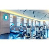 TP-Link Omada EAP115 300 Mbit/s Bianco Supporto Power over Ethernet (PoE), Punto di accesso bianco, 2.4 GHz, 300 Mbit/s, 64-bit WEP, 128-bit WEP, 152-bit WEP, HTTPS, SNMP, SSH, WPA, WPA-PSK, WPA2-Enterprise, WPA2-PSK, 10,100,1000 Mbit/s