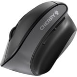 CHERRY MW 4500 mouse Ufficio Mano destra RF Wireless Ottico 1200 DPI Nero, Mano destra, Design verticale, Ottico, RF Wireless, 1200 DPI, Nero