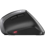 CHERRY MW 4500 mouse Ufficio Mano destra RF Wireless Ottico 1200 DPI Nero, Mano destra, Design verticale, Ottico, RF Wireless, 1200 DPI, Nero