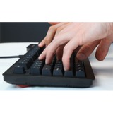 Das Keyboard DASK4MKPROCLI tastiera USB QWERTY Nero Nero, Standard, Cablato, USB, QWERTY, Nero