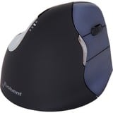 Evoluent Evoluent 4 destro bluetooth, Mouse Nero/Blu, Mano destra, Ottico, Bluetooth, 2600 DPI, Bianco
