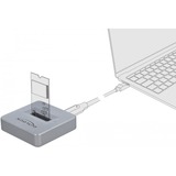 DeLOCK 64000 docking station per unità di archiviazione Argento grigio, SSD, M.2, 10 Gbit/s, Argento, 49 mm, 49 mm