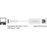 DeLOCK 65906 scheda di interfaccia e adattatore RJ-45 bianco, USB tipo-C, RJ-45, RJ-45, Bianco, 0,135 m, Attività, Potenza