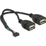 DeLOCK 84933 cavo USB 0,2 m USB 2.0 2 x USB A Nero, Cavo a Y Nero, 0,2 m, 2 x USB A, USB 2.0, 480 Mbit/s, Nero