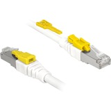 DeLOCK 85330 cavo di rete Bianco 0,5 m Cat6a S/FTP (S-STP) bianco, 0,5 m, Cat6a, S/FTP (S-STP), RJ-45, RJ-45